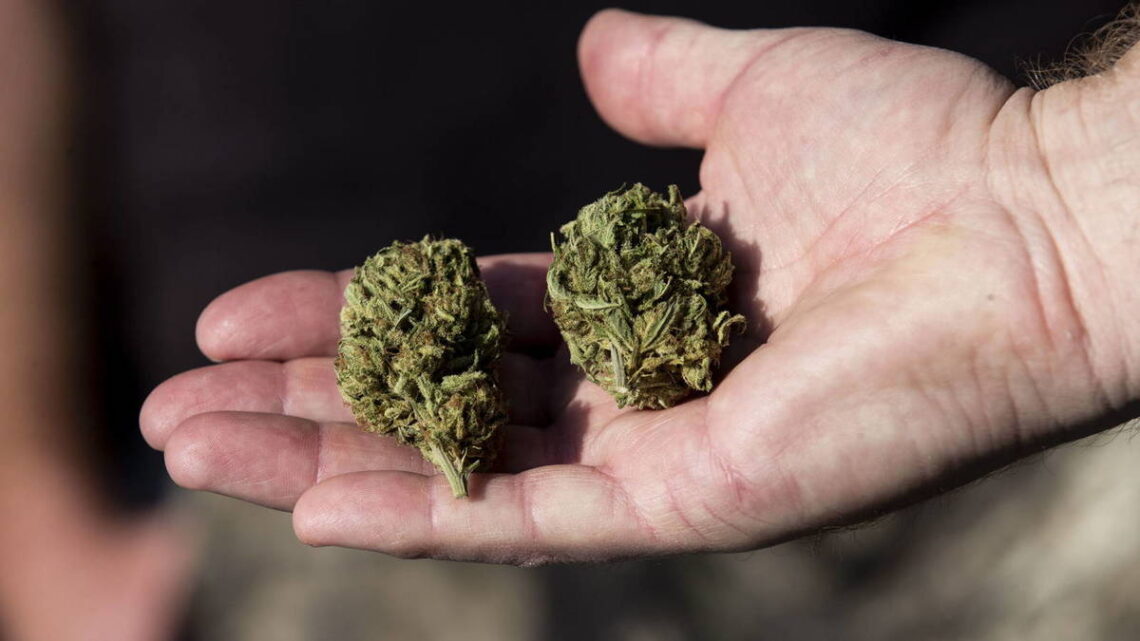 Consultar multa por droga 2021 1 multa por droga