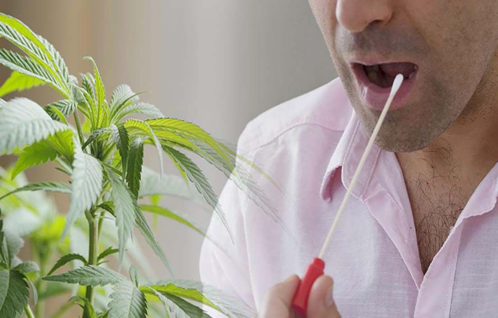 Comprobación marihuana en saliva