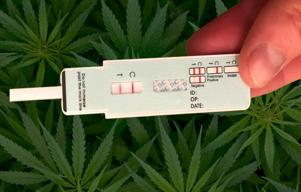 Resultado negativo del test de cannabis