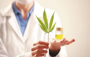 Multa por posesión de THC. Noviembre 2023 2 Multa por THC | REMULSA