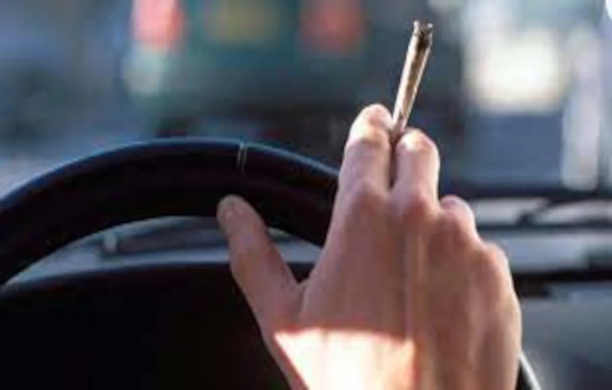 drogas al volante | REMULSA