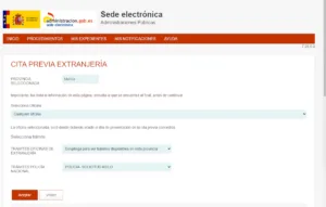 Cita Asilo Murcia. Junio 2024 2 Solicitud cita asilo Murcia | REMULSA