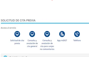 Nuevo Canje DGT. Julio 2024 3 Cita canje DGT | REMULSA