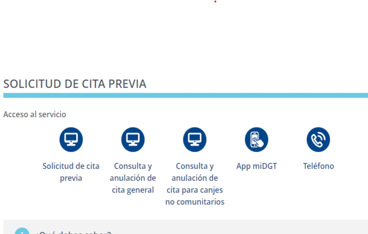 Cita canje DGT | REMULSA