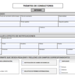 canjear carnet conducir | REMULSA