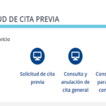 Cita canje carnet de conducir | REMULSA