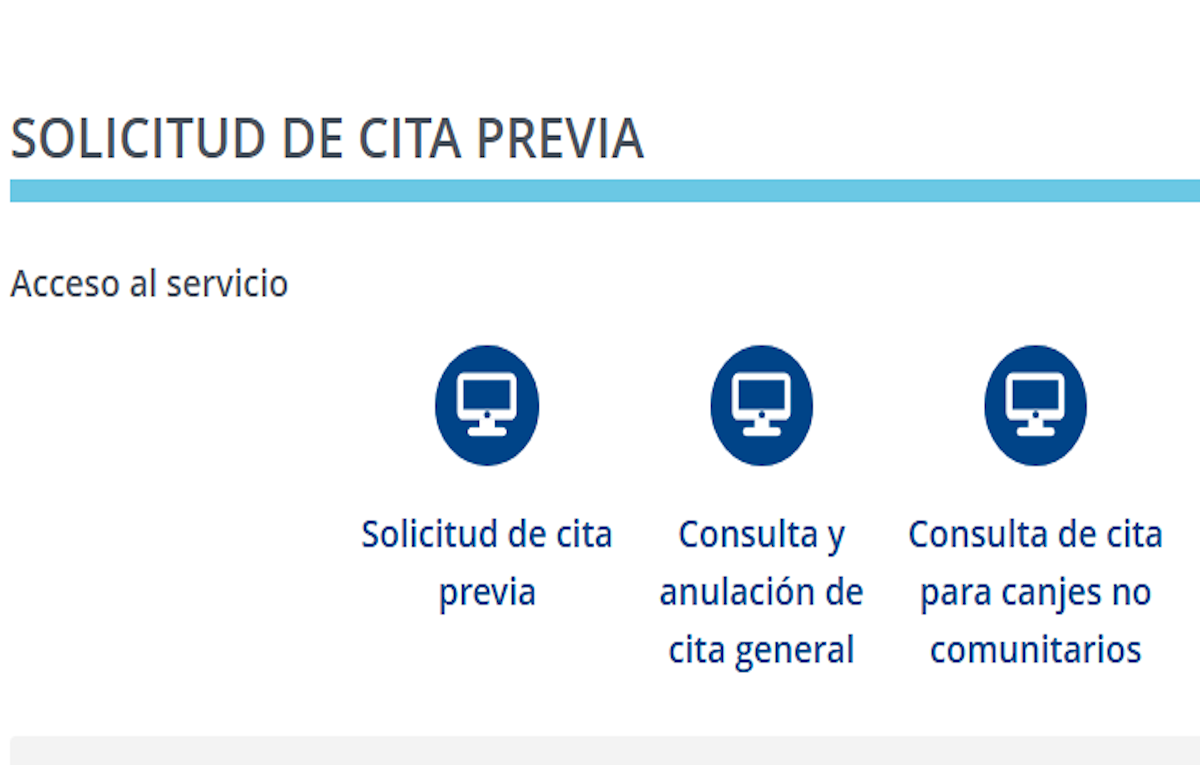 Cita canje carnet de conducir | REMULSA