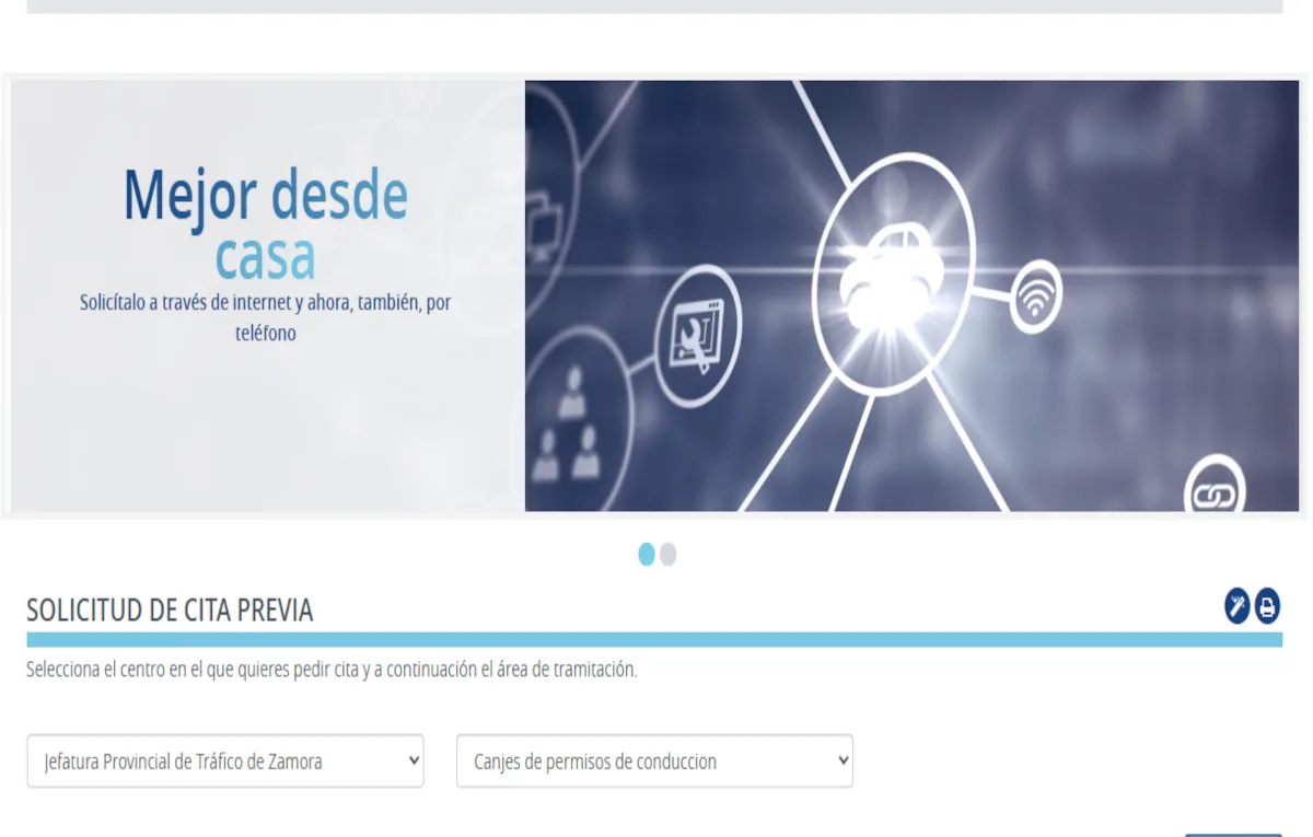 Cita canje DGT Zamora | REMULSA