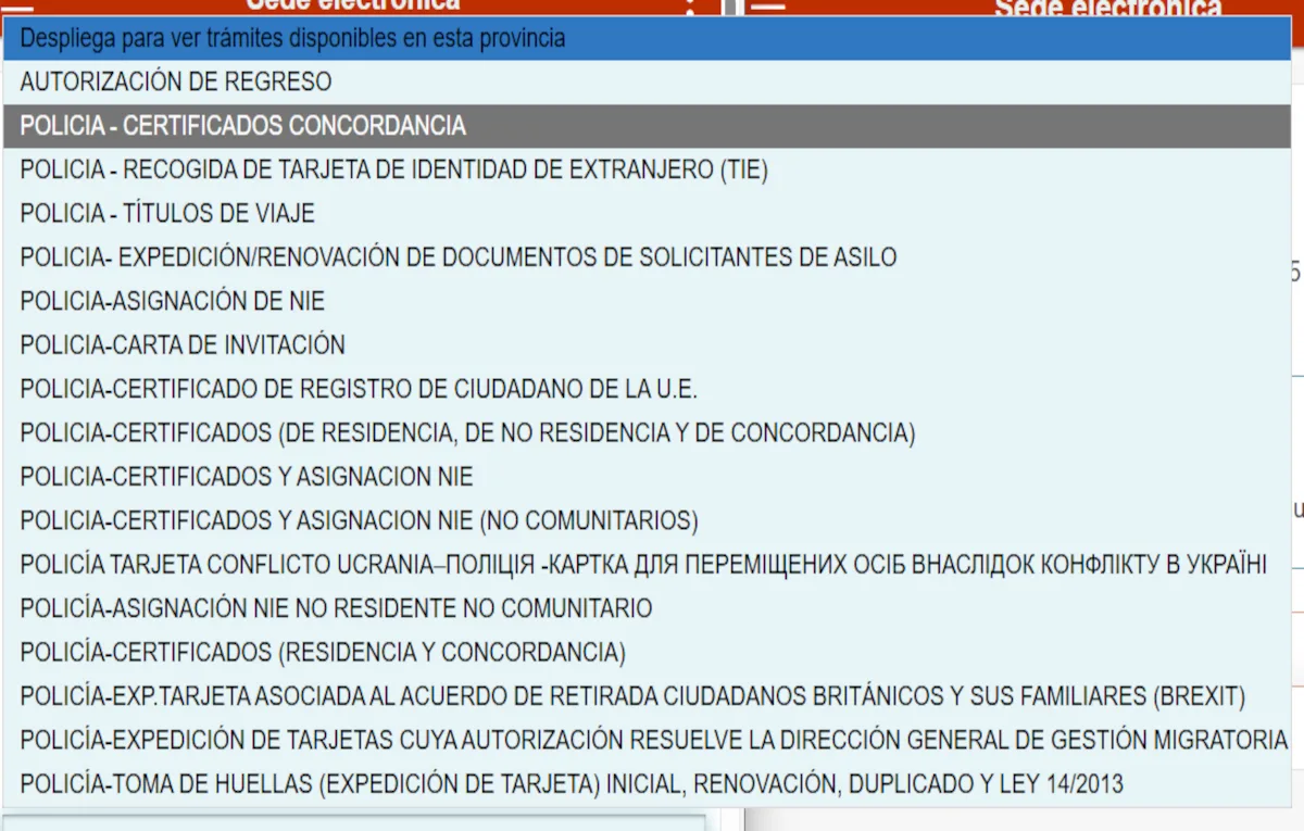 Certificado de concordancia | REMULSA
