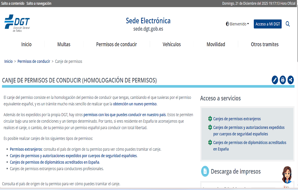 Canje de licencia de conducir. DGT 2025 2 Canje de licencia de conducir | REMULSA